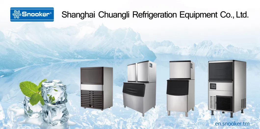 304 Stainless Steel Kitchen Equipment Cube Ice Making Machine Ice Maker 0f 30~100kg